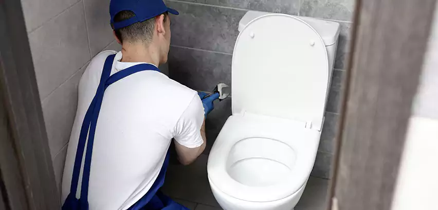 Toilet Lid Replacement in Plymouth