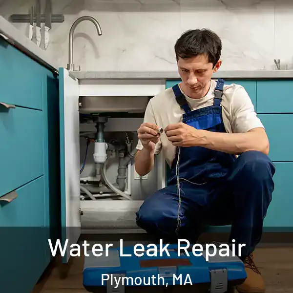  Water Leak Repair Plymouth, MA